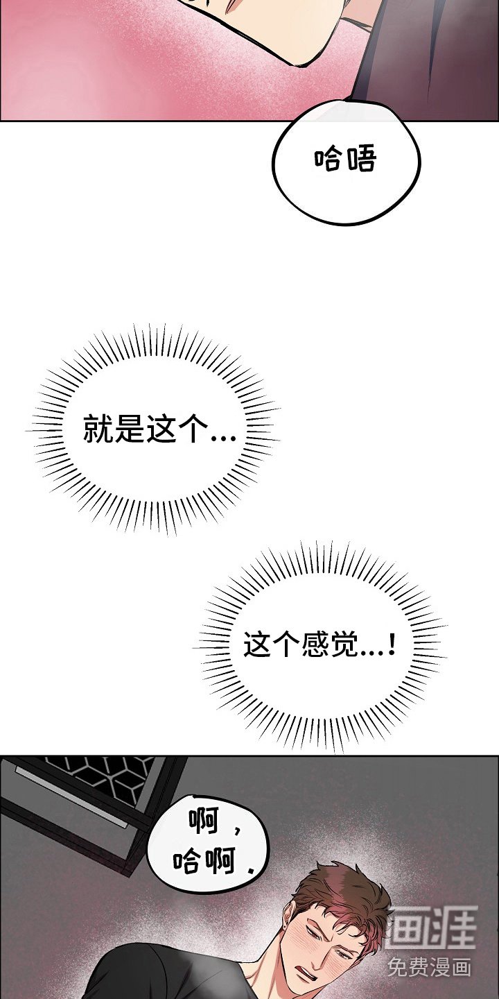 第4章：定期检查