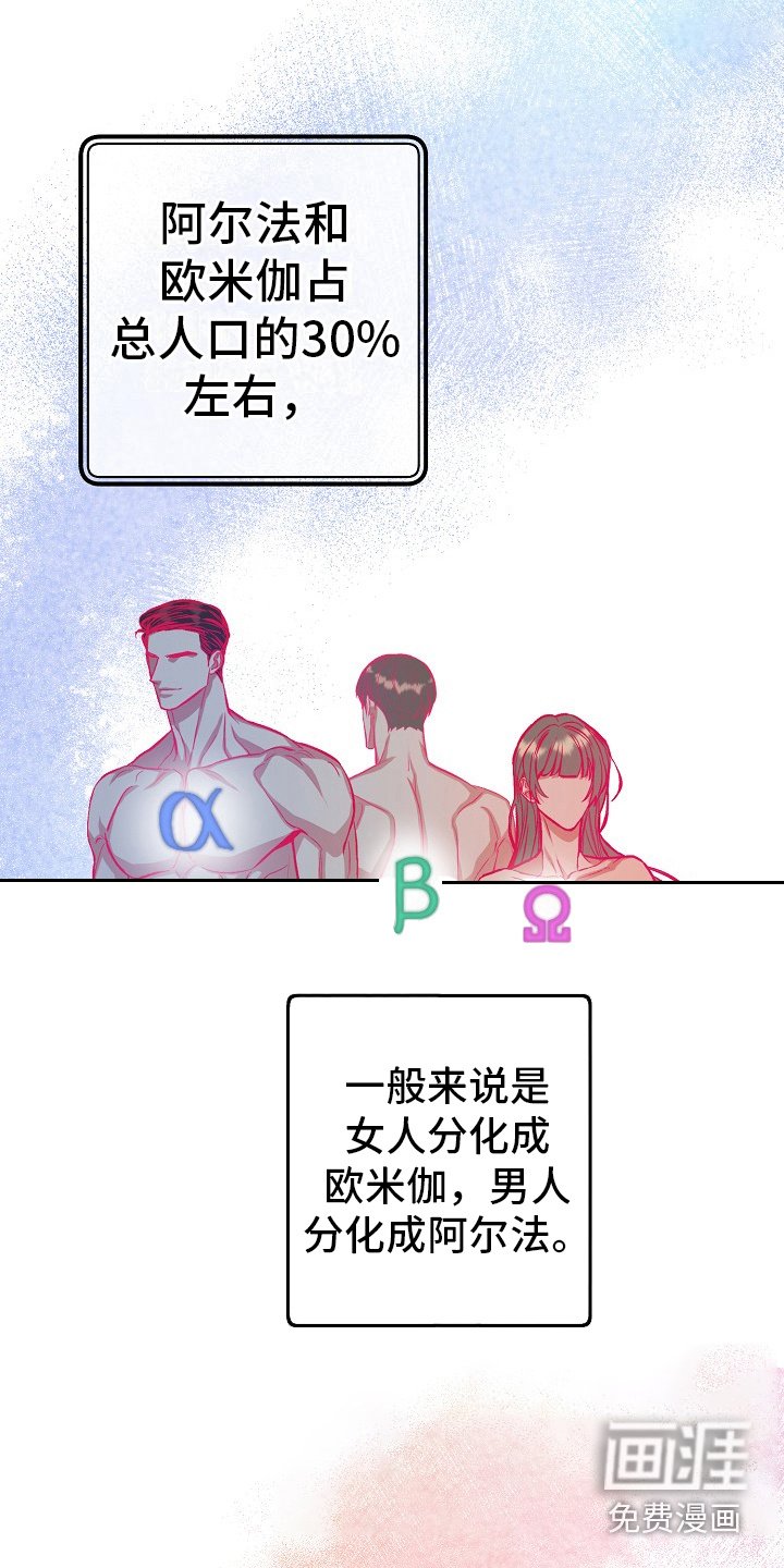 第4章：定期检查