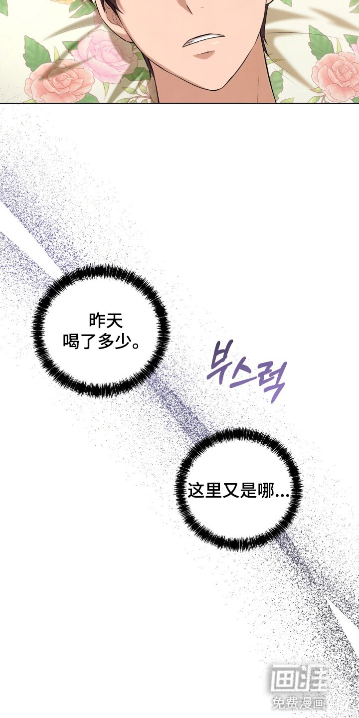 第11章：道歉