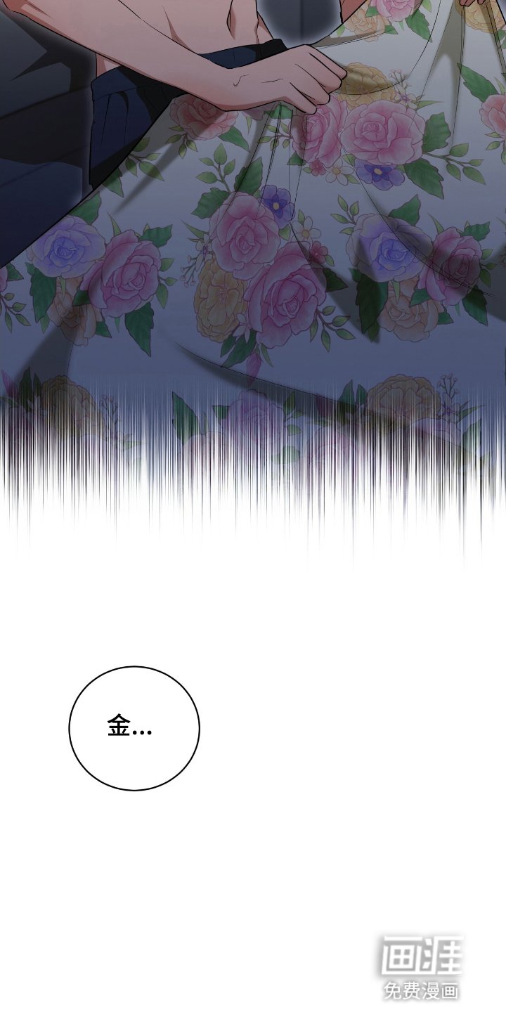 第11章：道歉