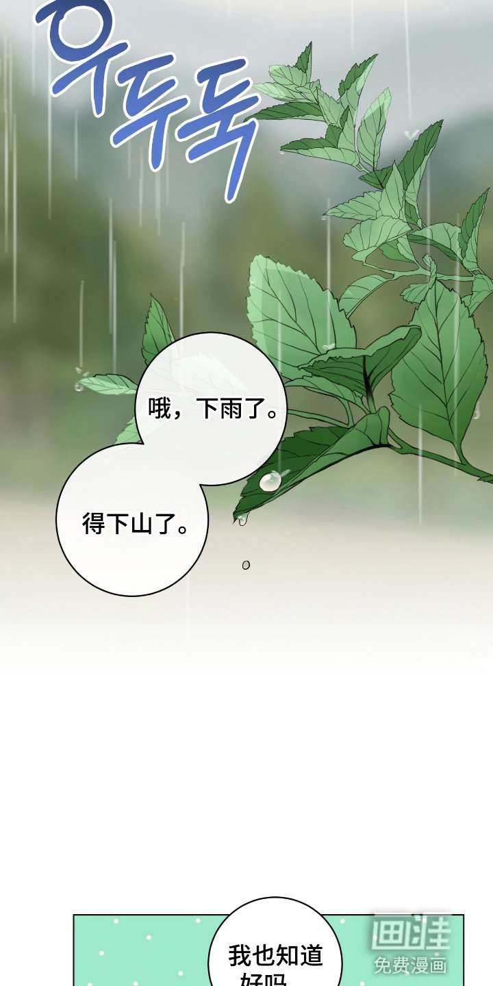 第15章：下雨