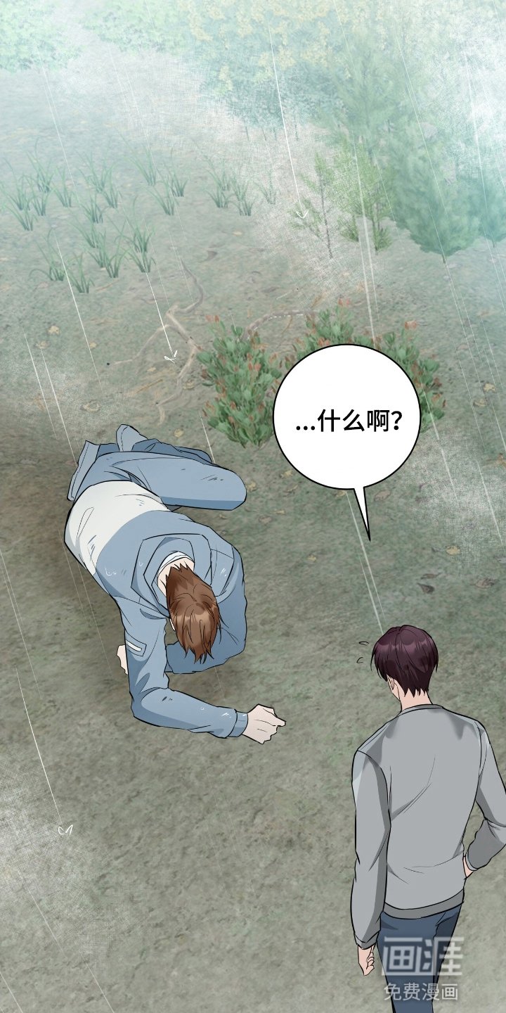第15章：下雨