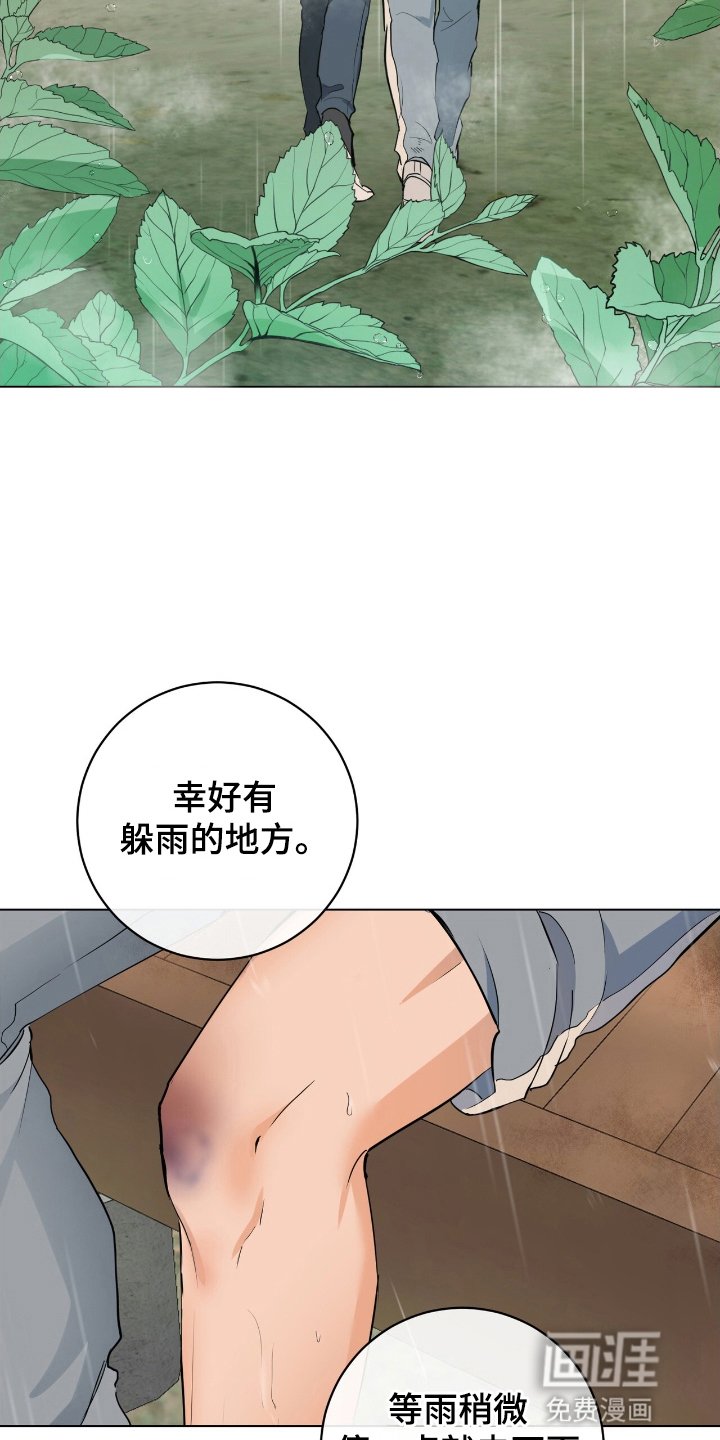 第15章：下雨