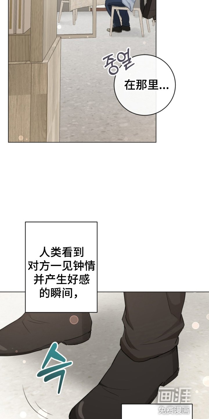 第17章：一见钟情
