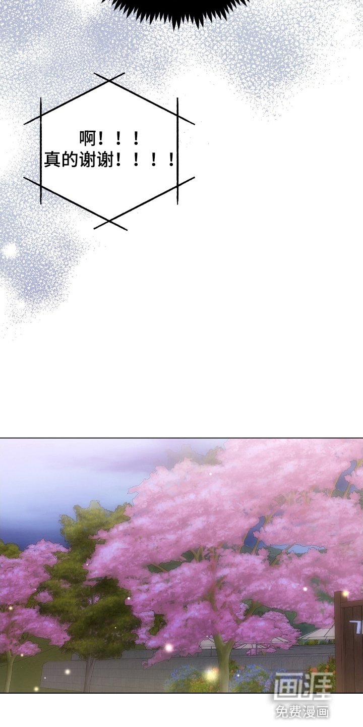 第19章：再次见面