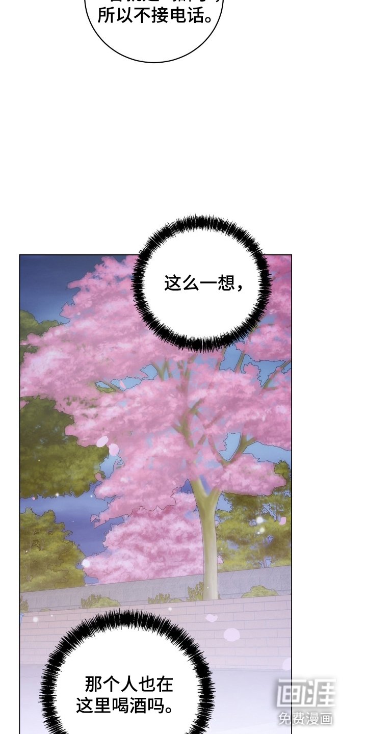 第19章：再次见面