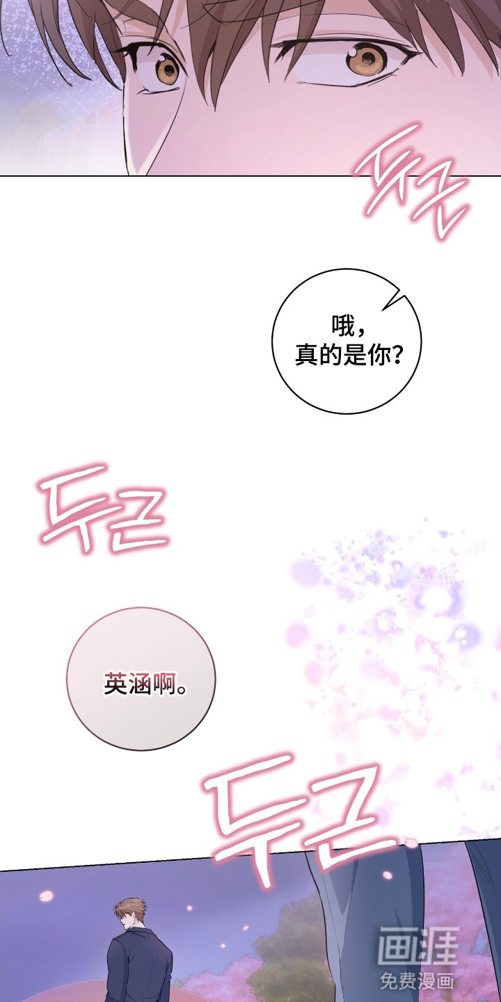 第19章：再次见面