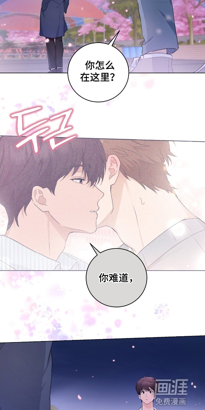 第19章：再次见面