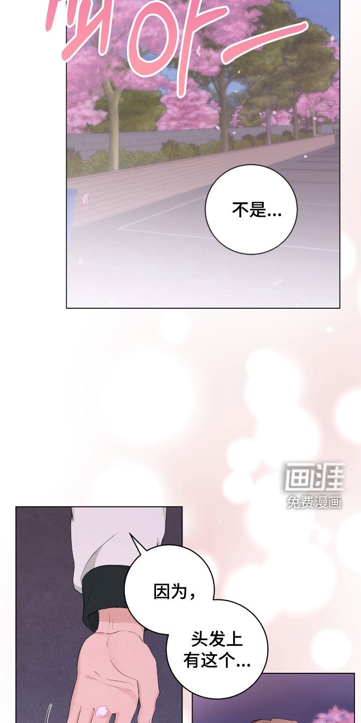 第20章：好久不见