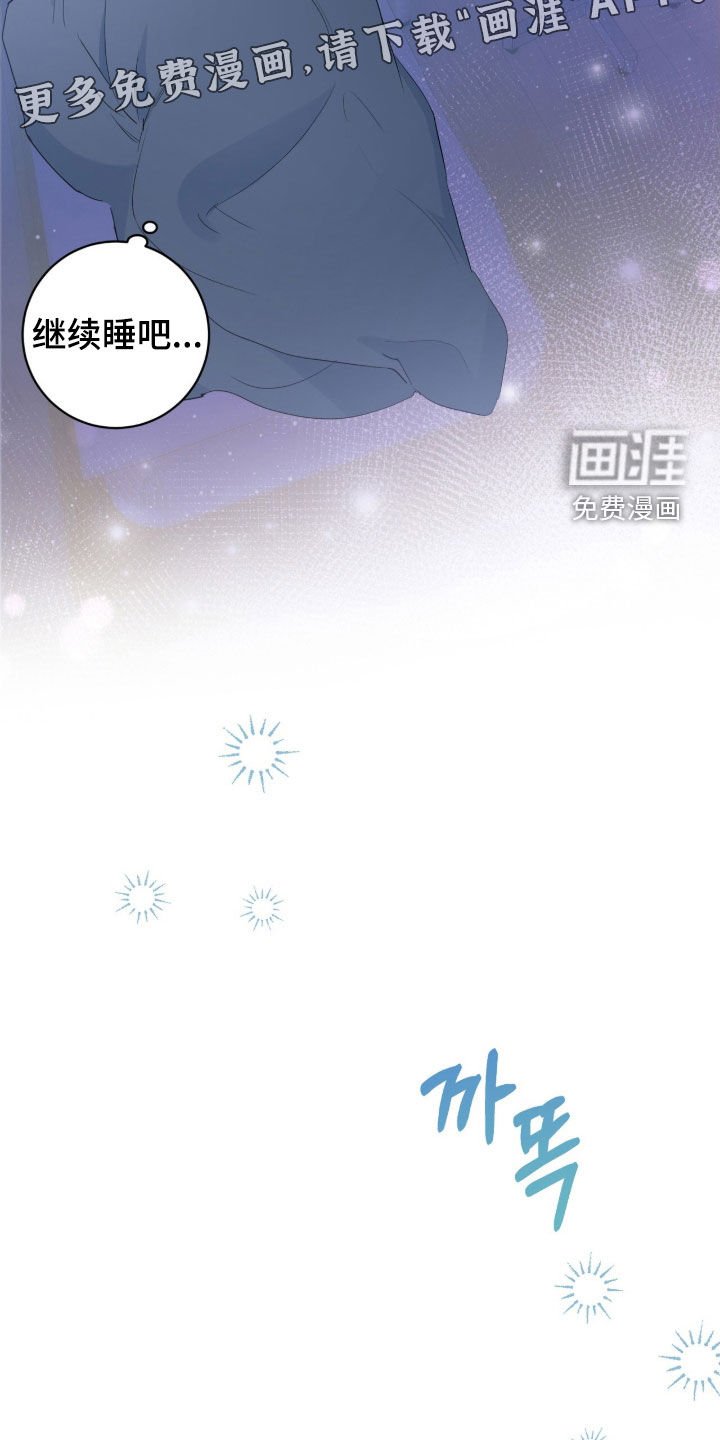 第24章：赏花