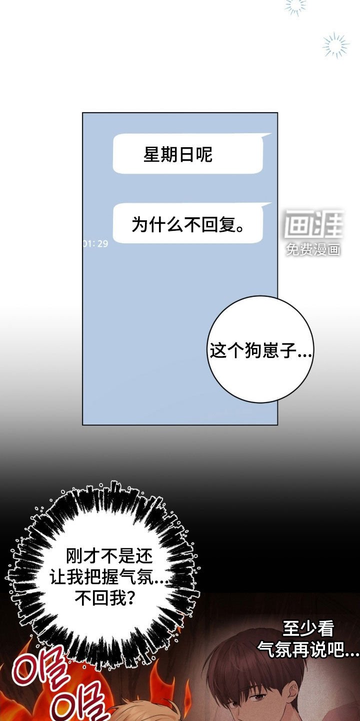 第24章：赏花