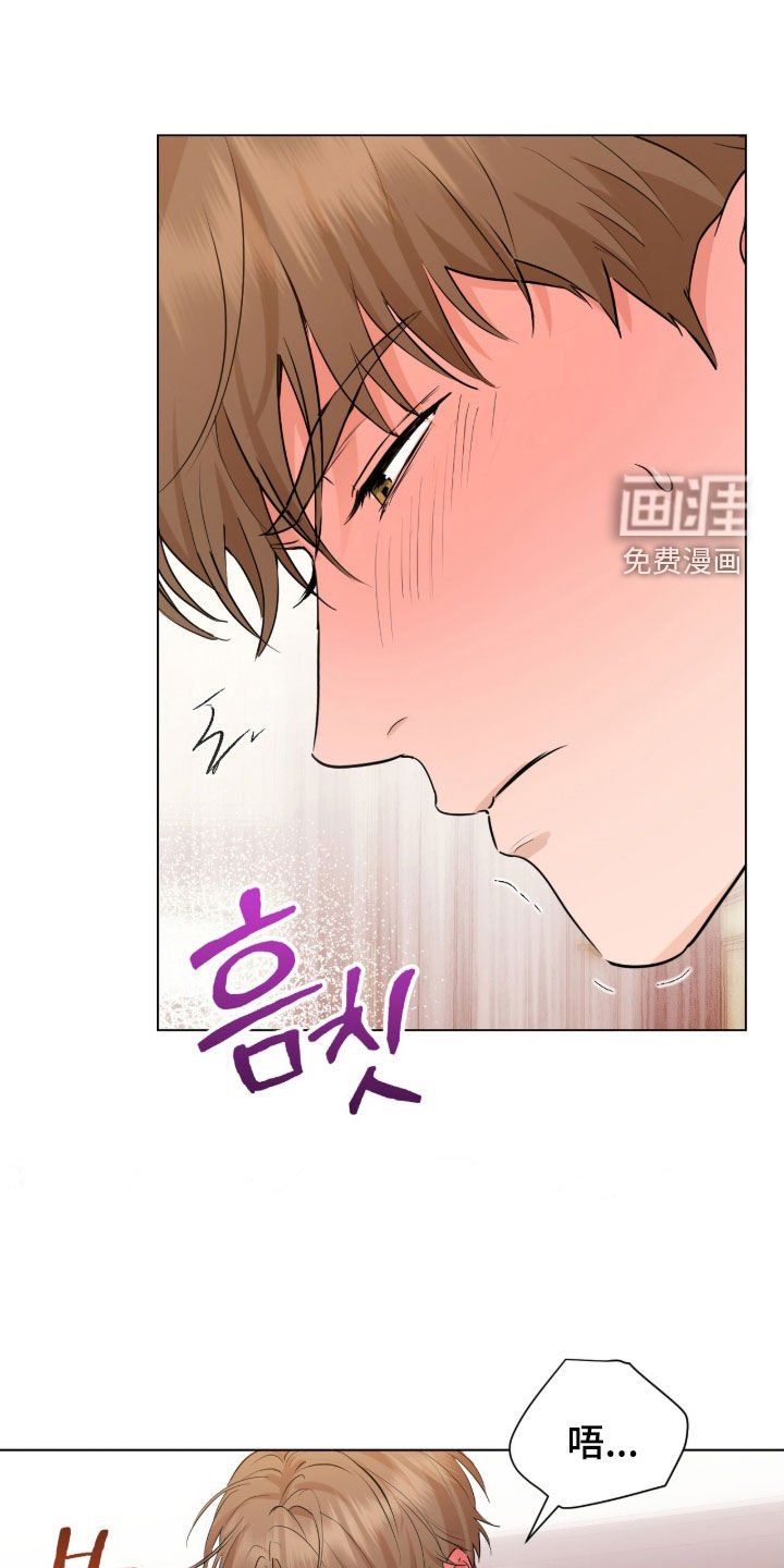 第24章：赏花