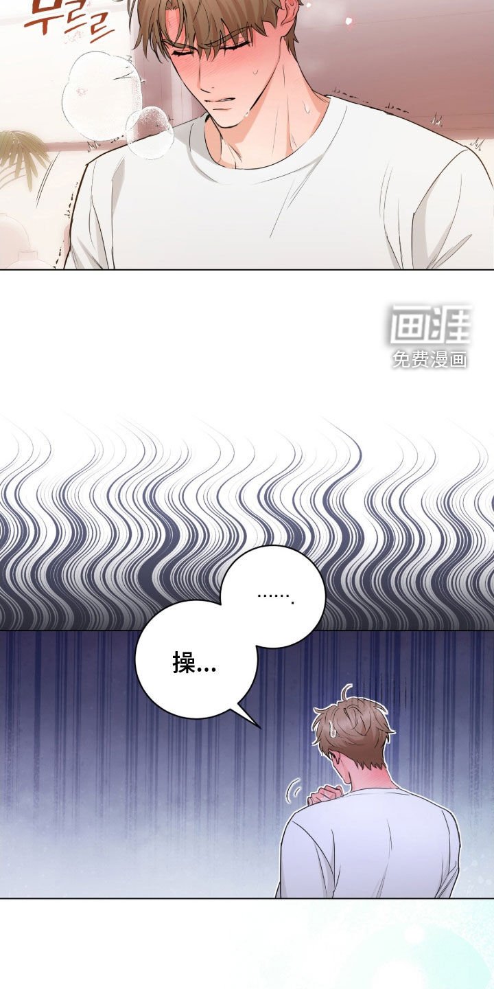 第24章：赏花