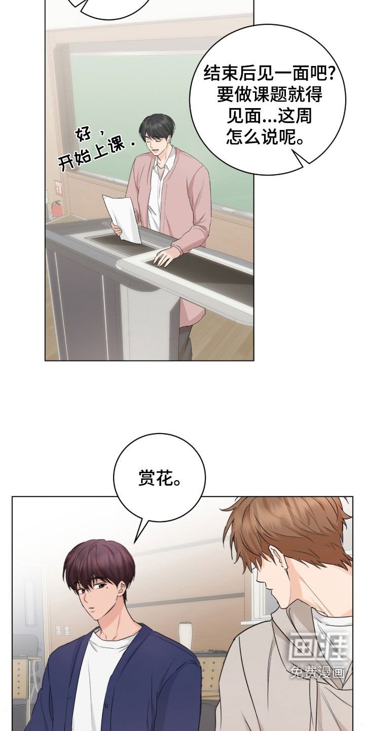 第24章：赏花
