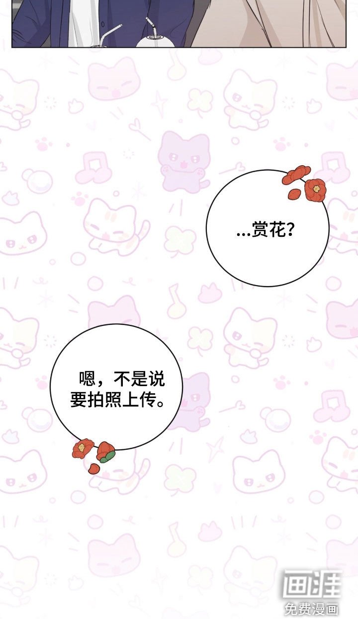 第24章：赏花