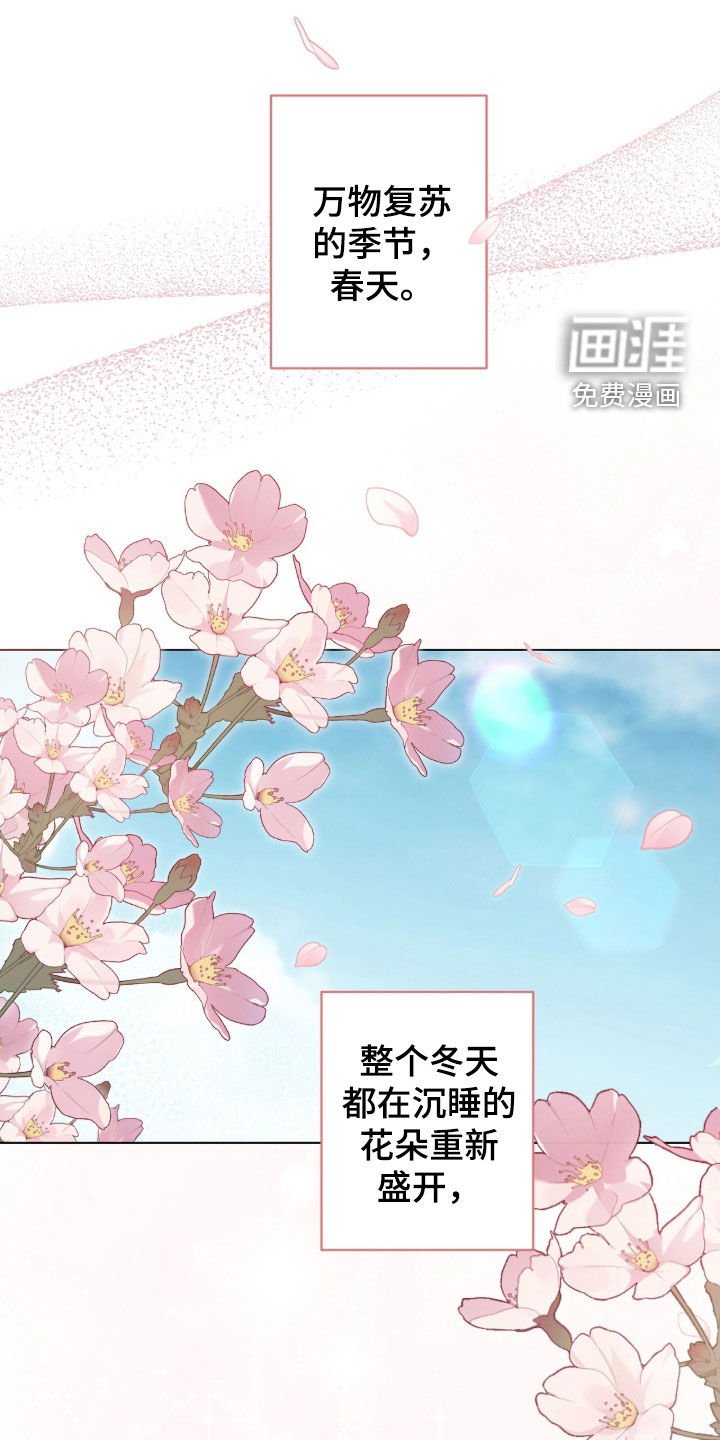 第26章：装善良