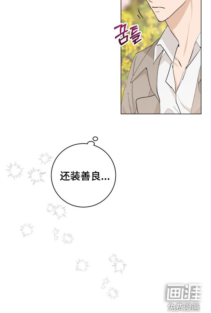 第26章：装善良
