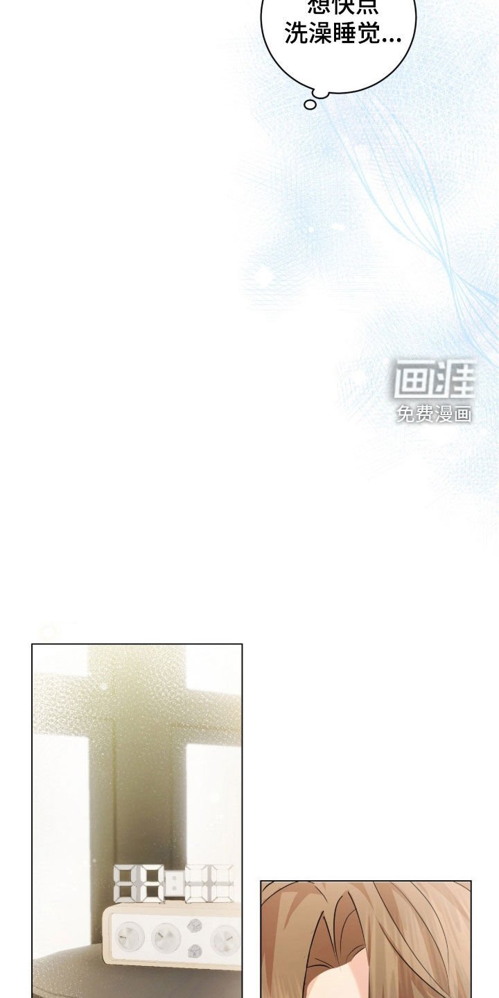 第31章：疯了吧
