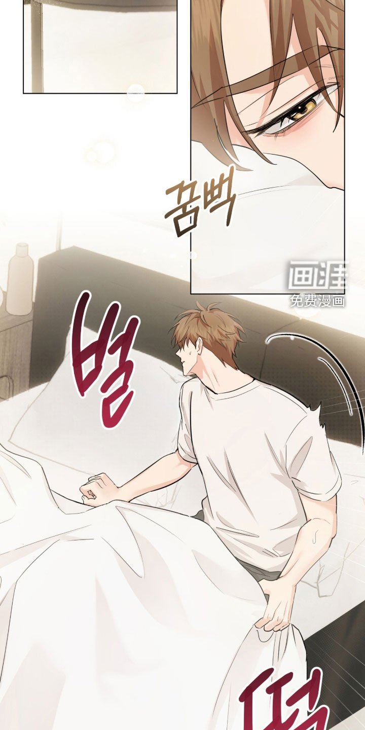 第31章：疯了吧