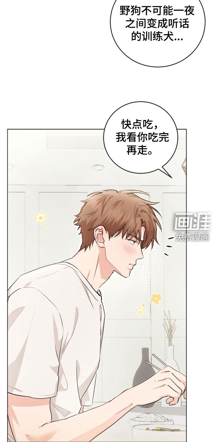 第31章：疯了吧