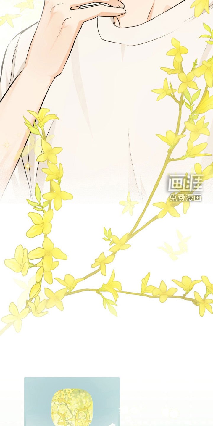 第31章：疯了吧