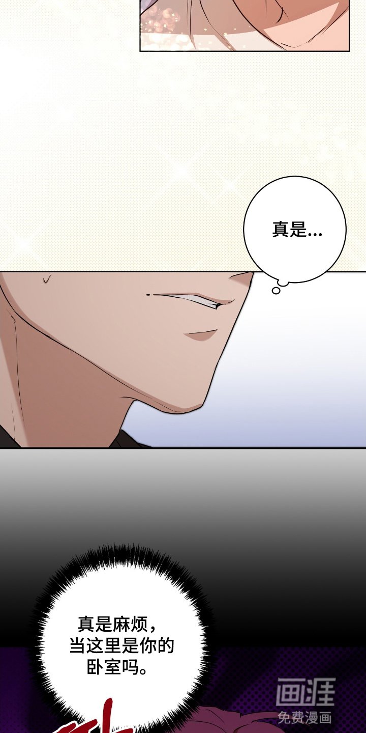 第6章：看电影