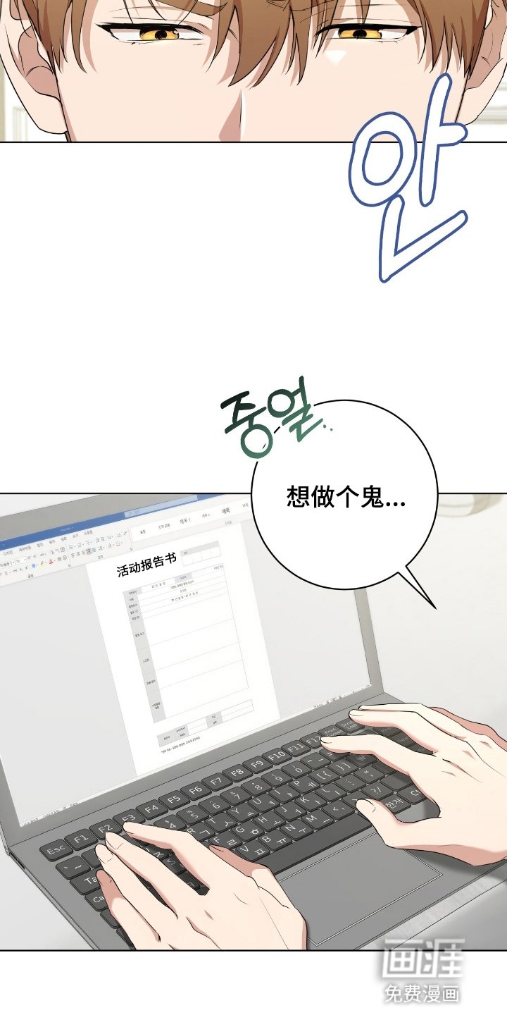 第7章：活动报告