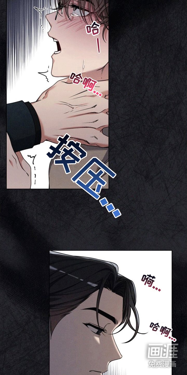 第12章：约定