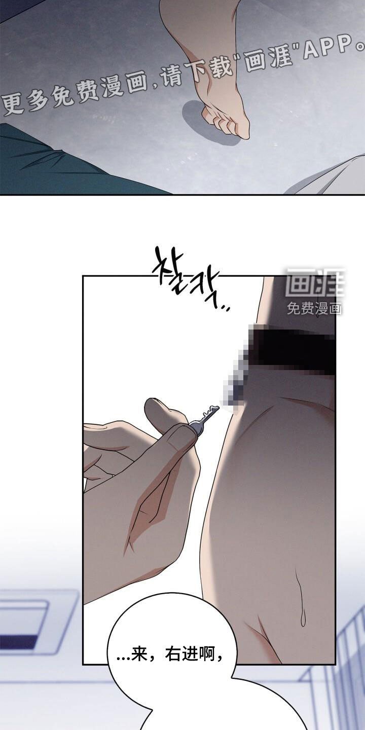 第45章：驯服