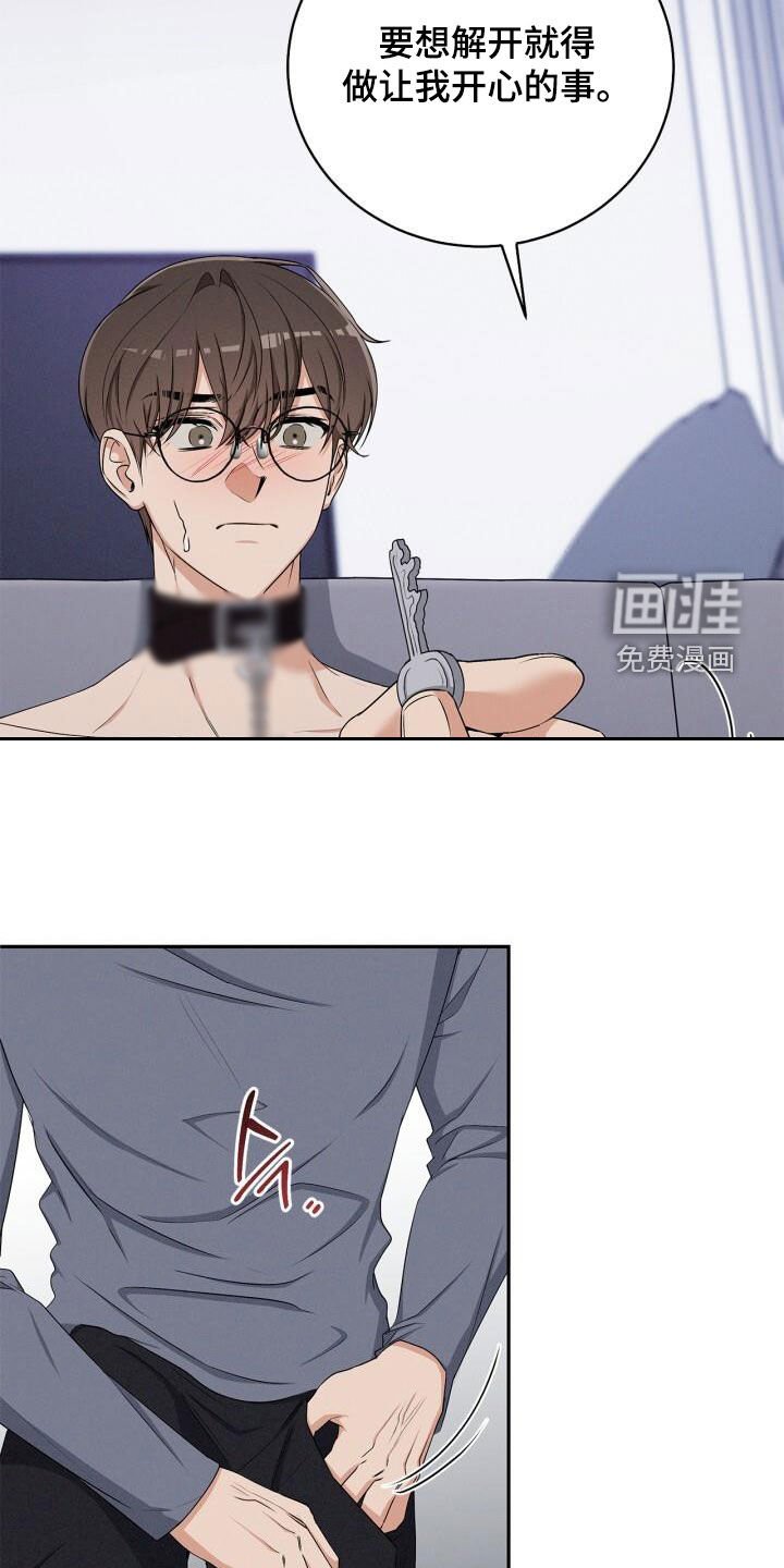 第45章：驯服