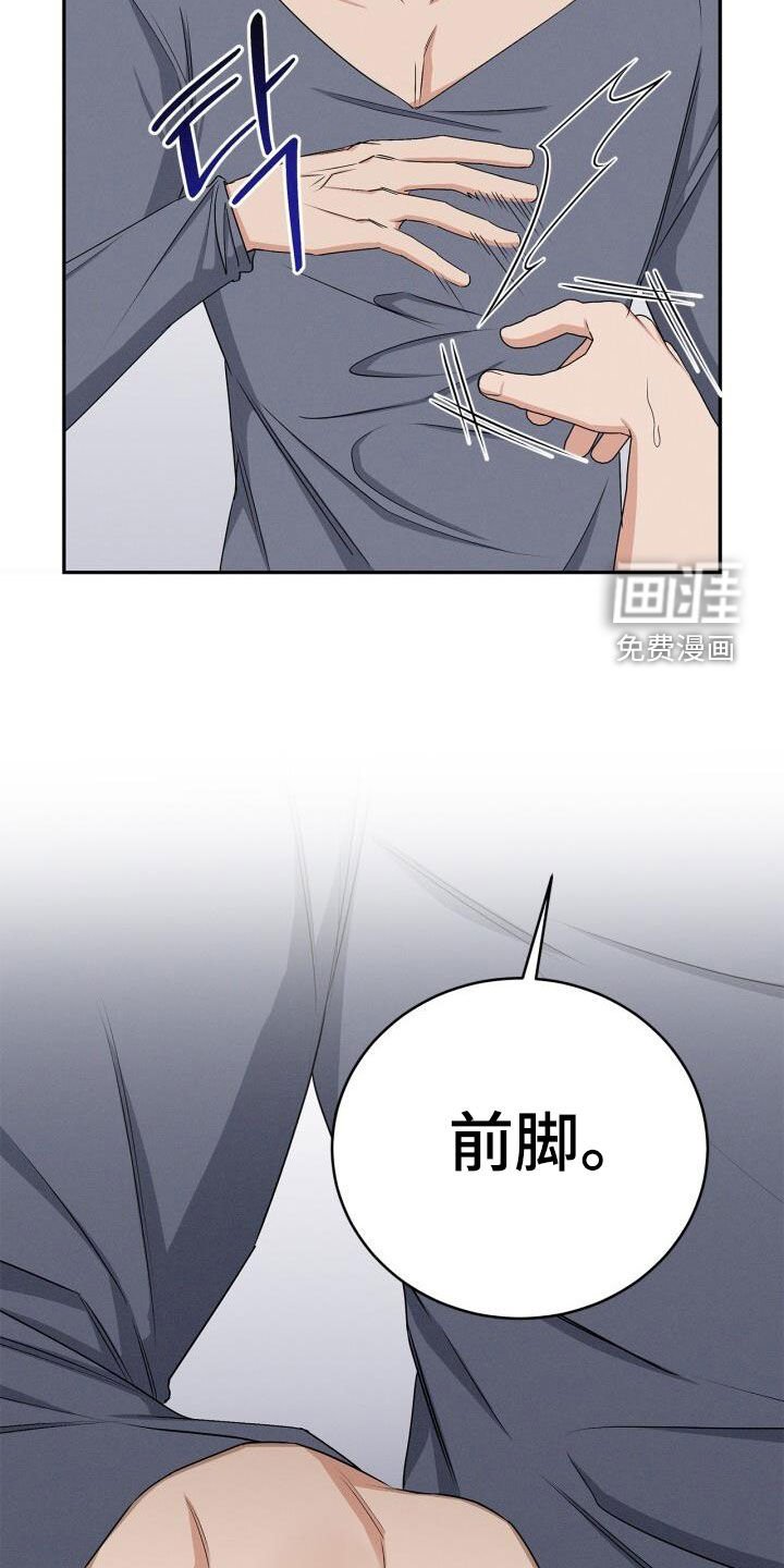 第45章：驯服