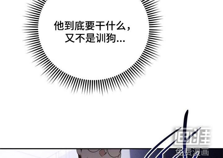 第45章：驯服