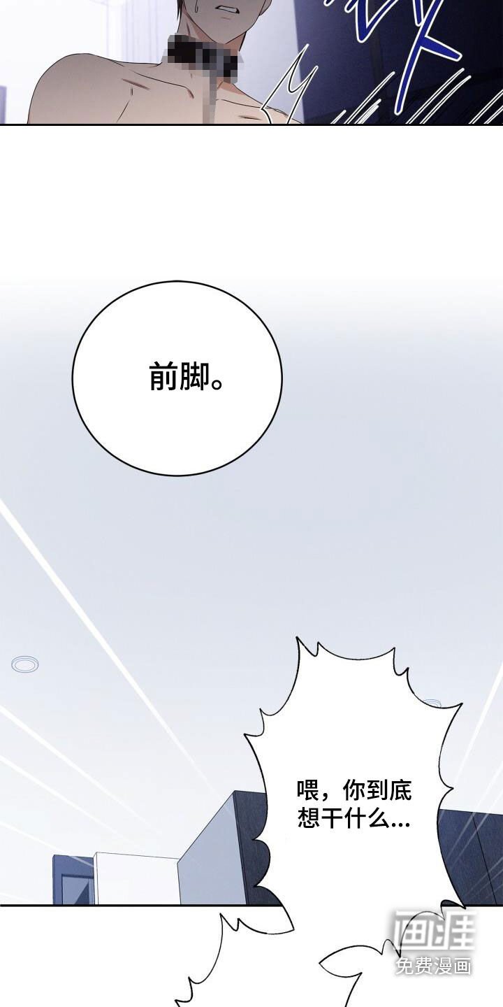 第45章：驯服