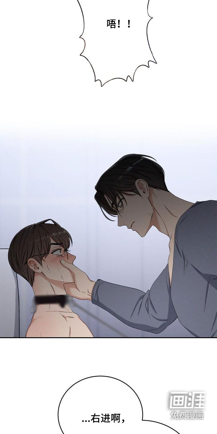 第45章：驯服