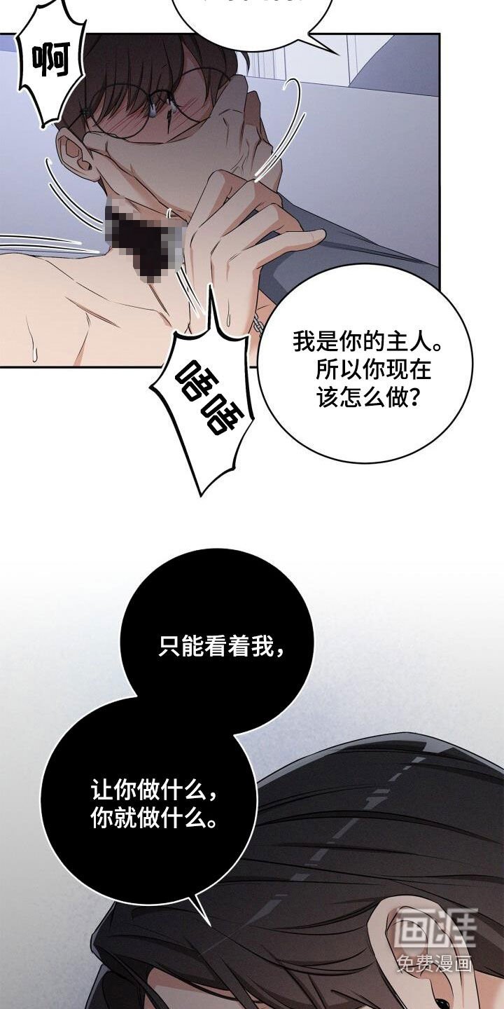第45章：驯服