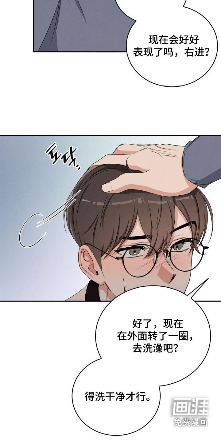 第45章：驯服