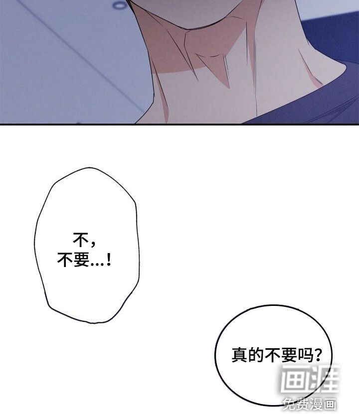 第48章：真的不要吗
