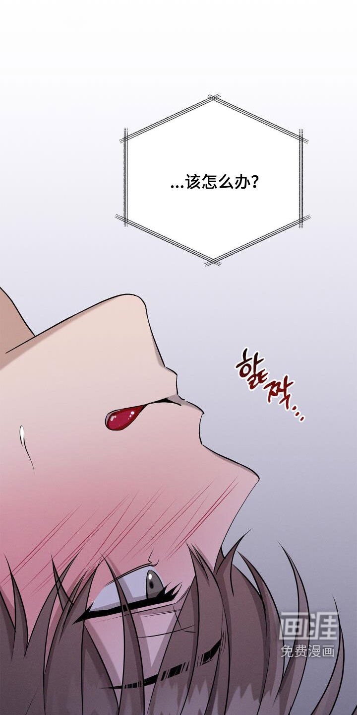 第53章：该怎么办