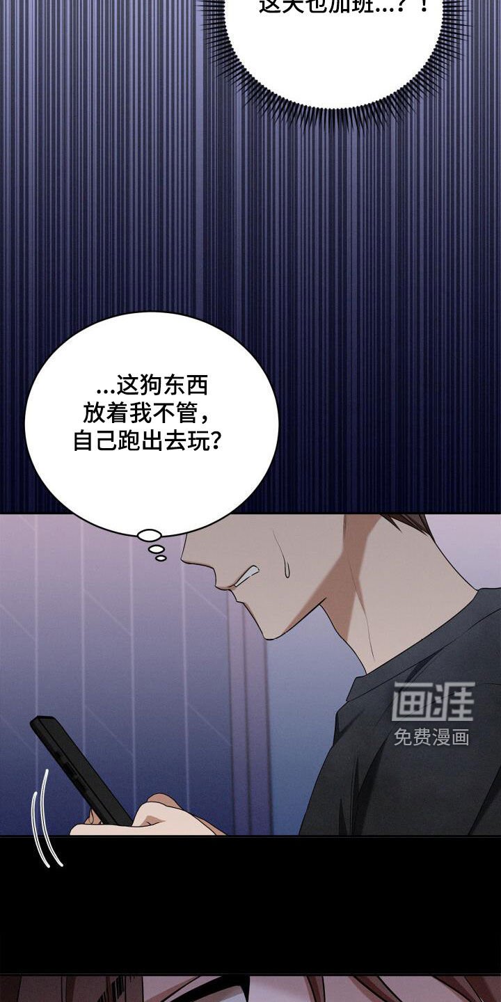 第54章：尊重和礼貌