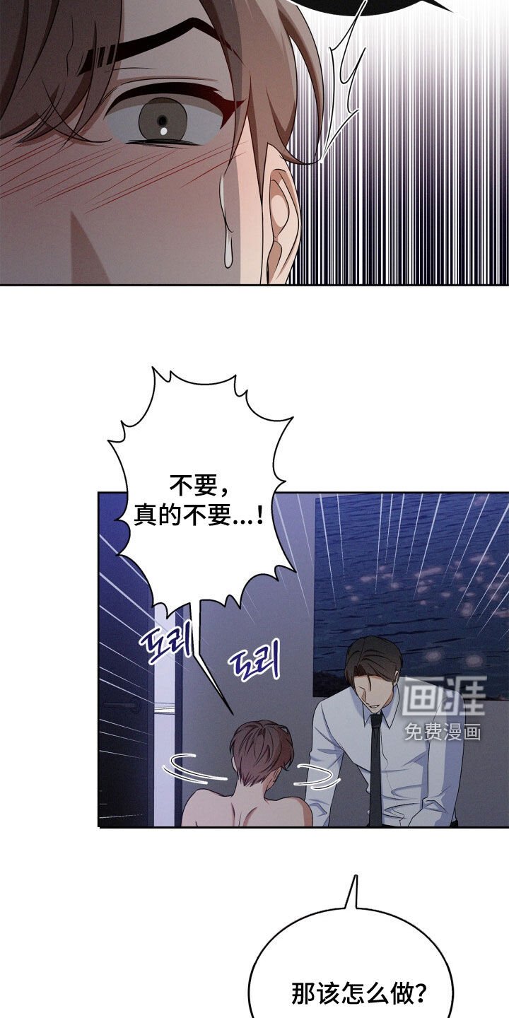 第64章：本来不打算这样