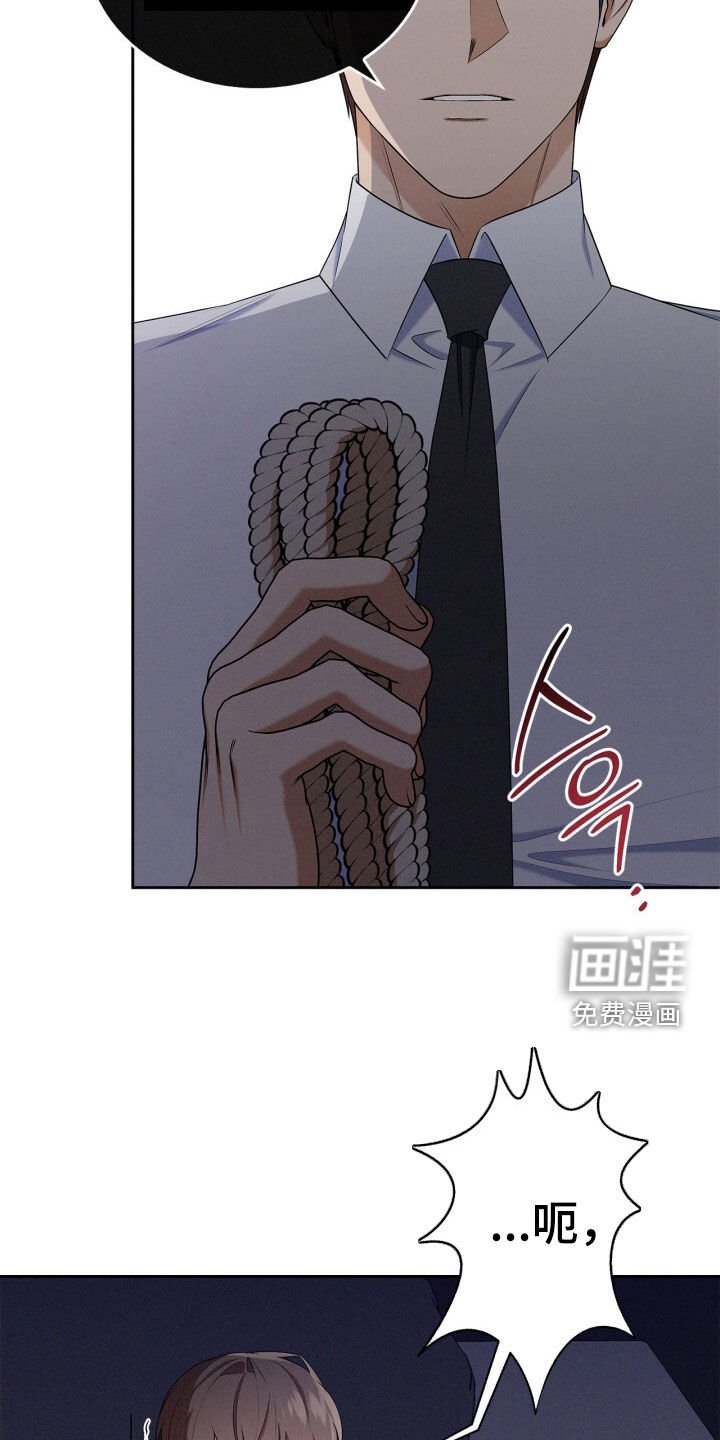 第64章：本来不打算这样