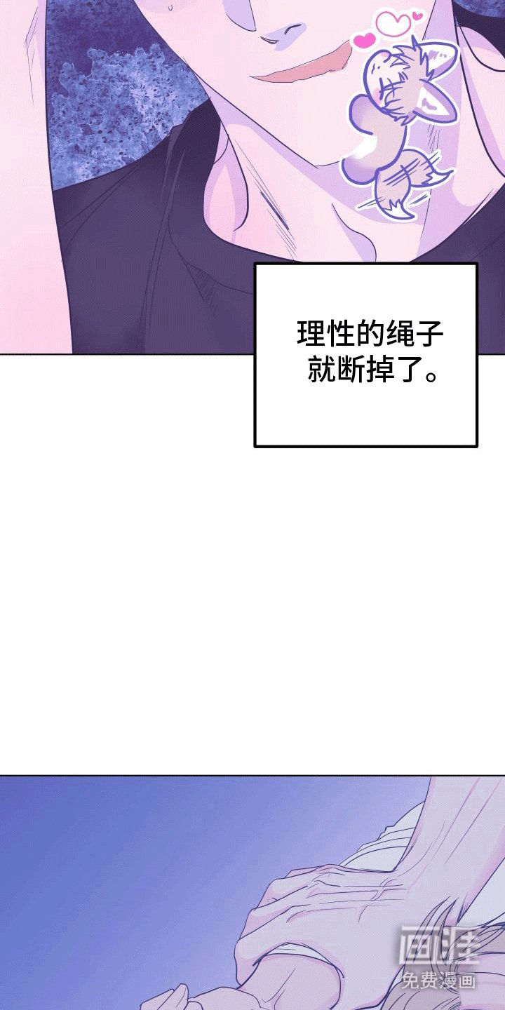 第5章：蛋糕