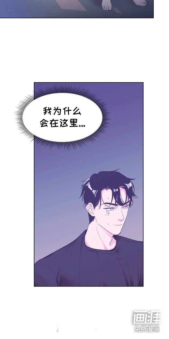 第6章：看电影
