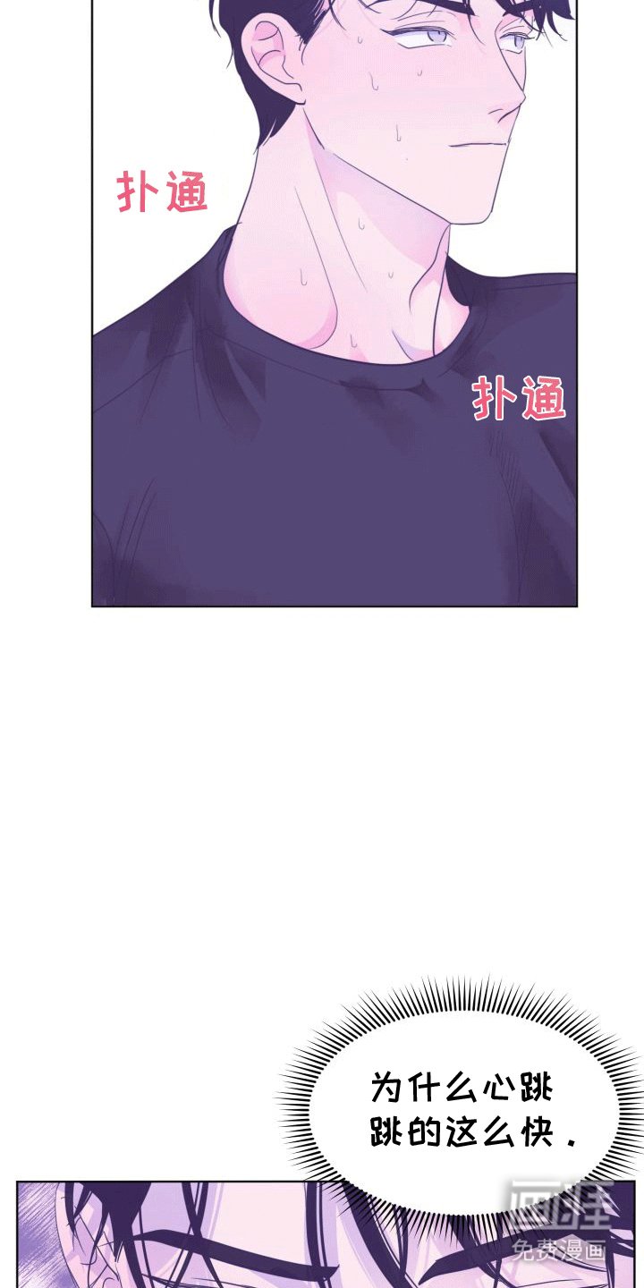 第6章：看电影