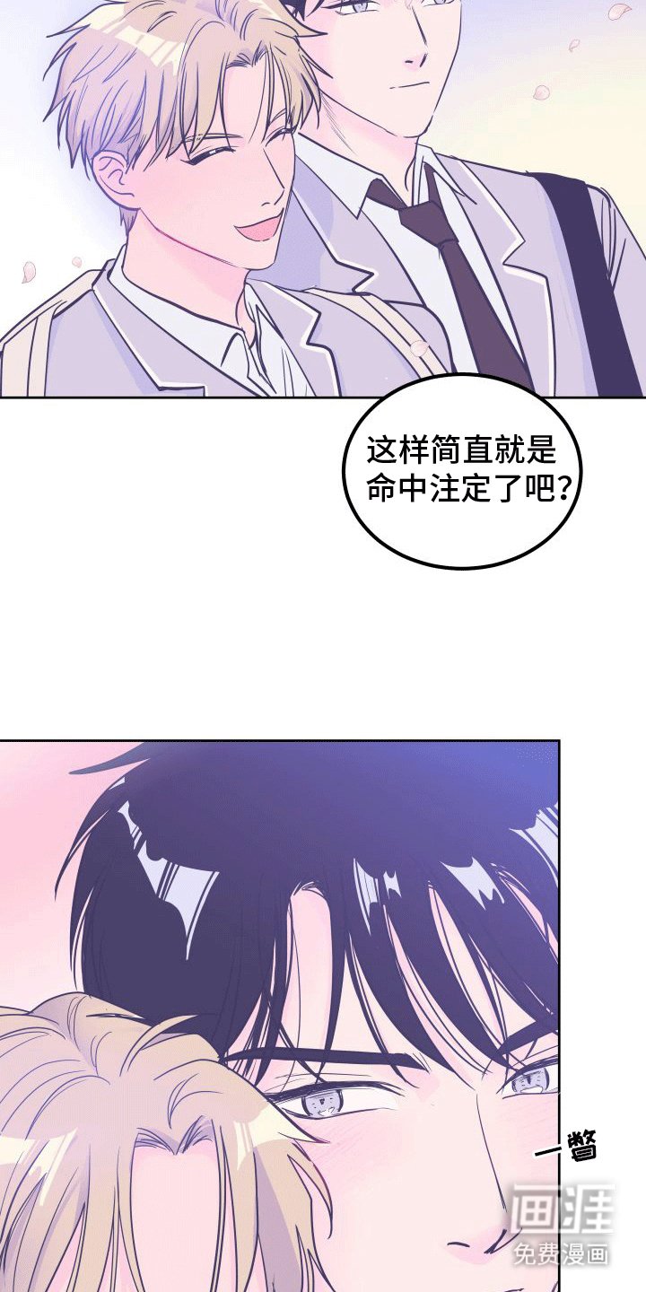 第9章：决定【完结】
