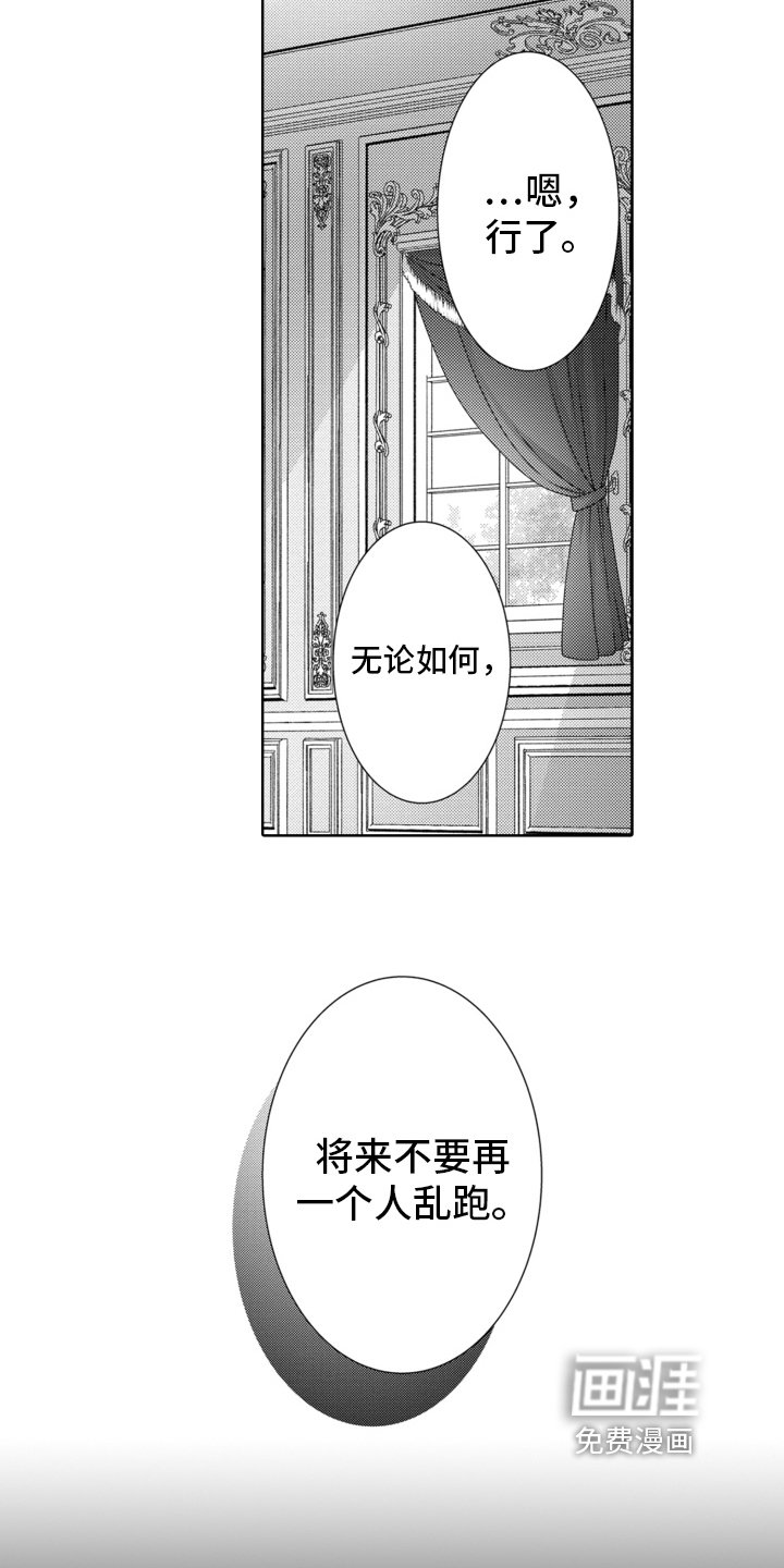 第17章：又回来了