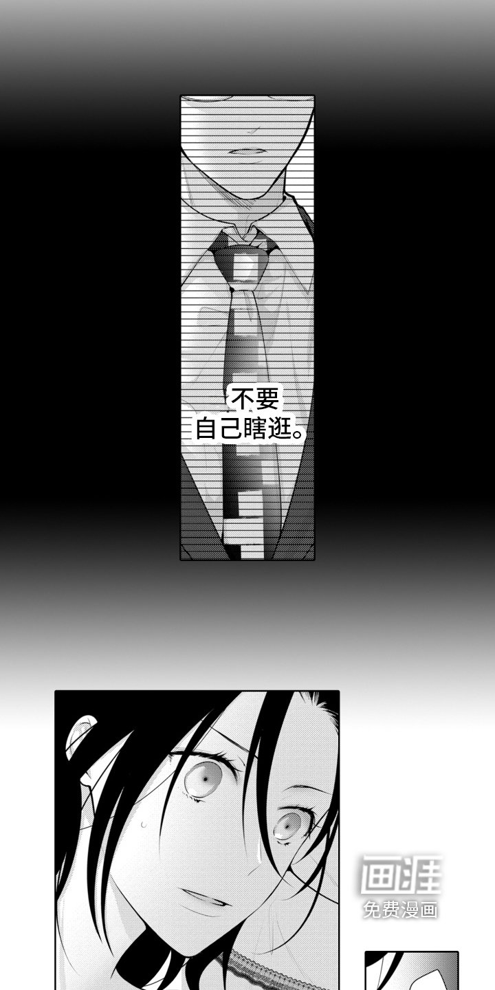 第17章：又回来了