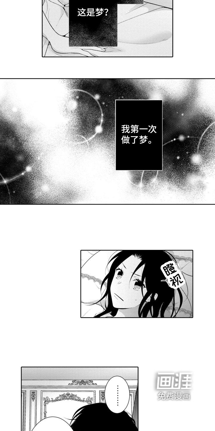 第5章：相似