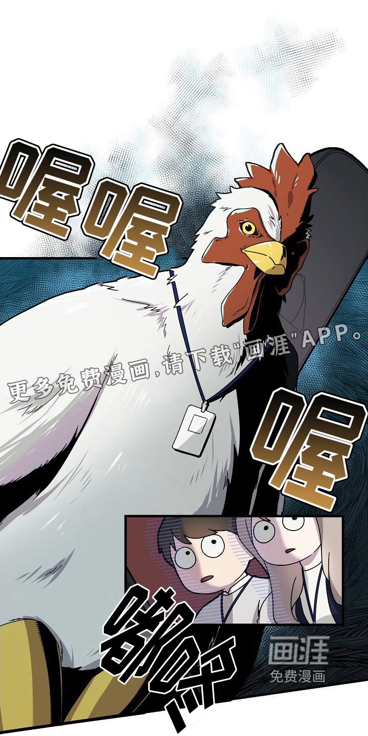 第11章：感受