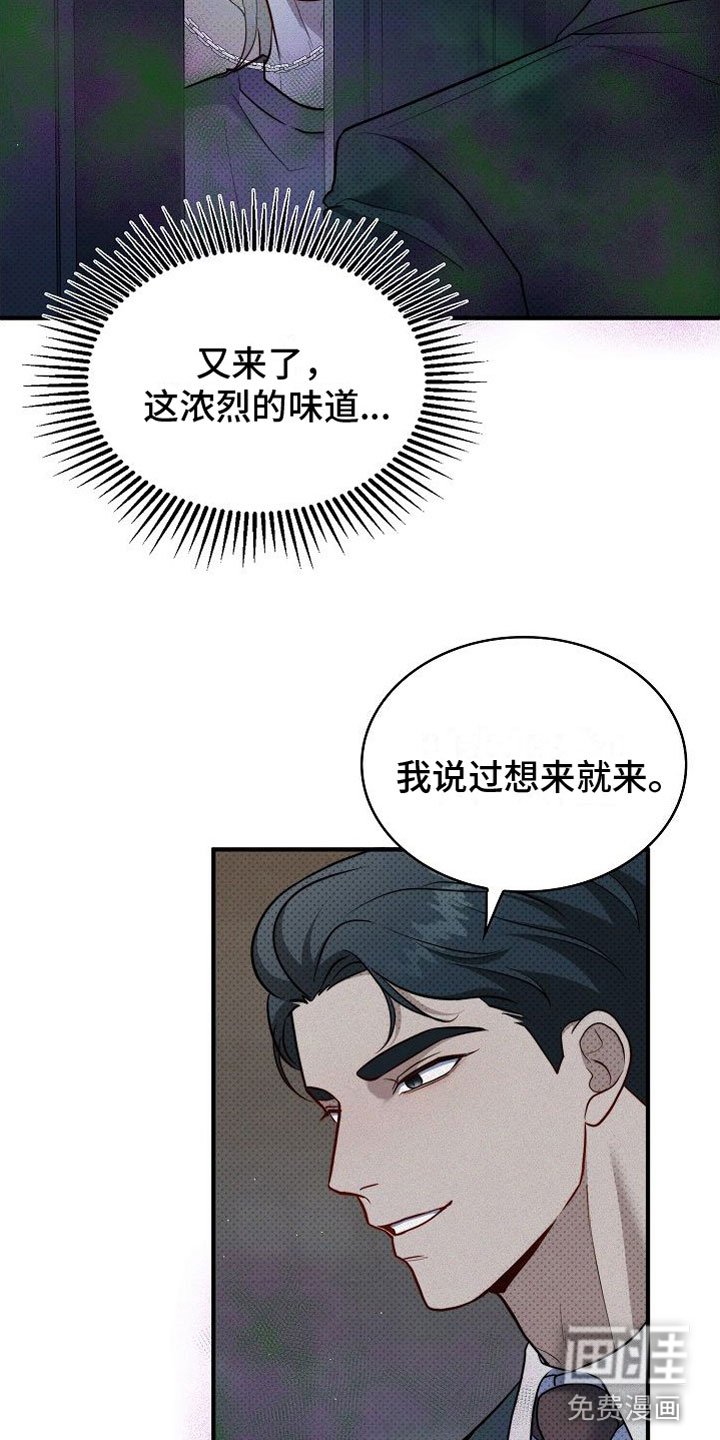 第11章：又来了